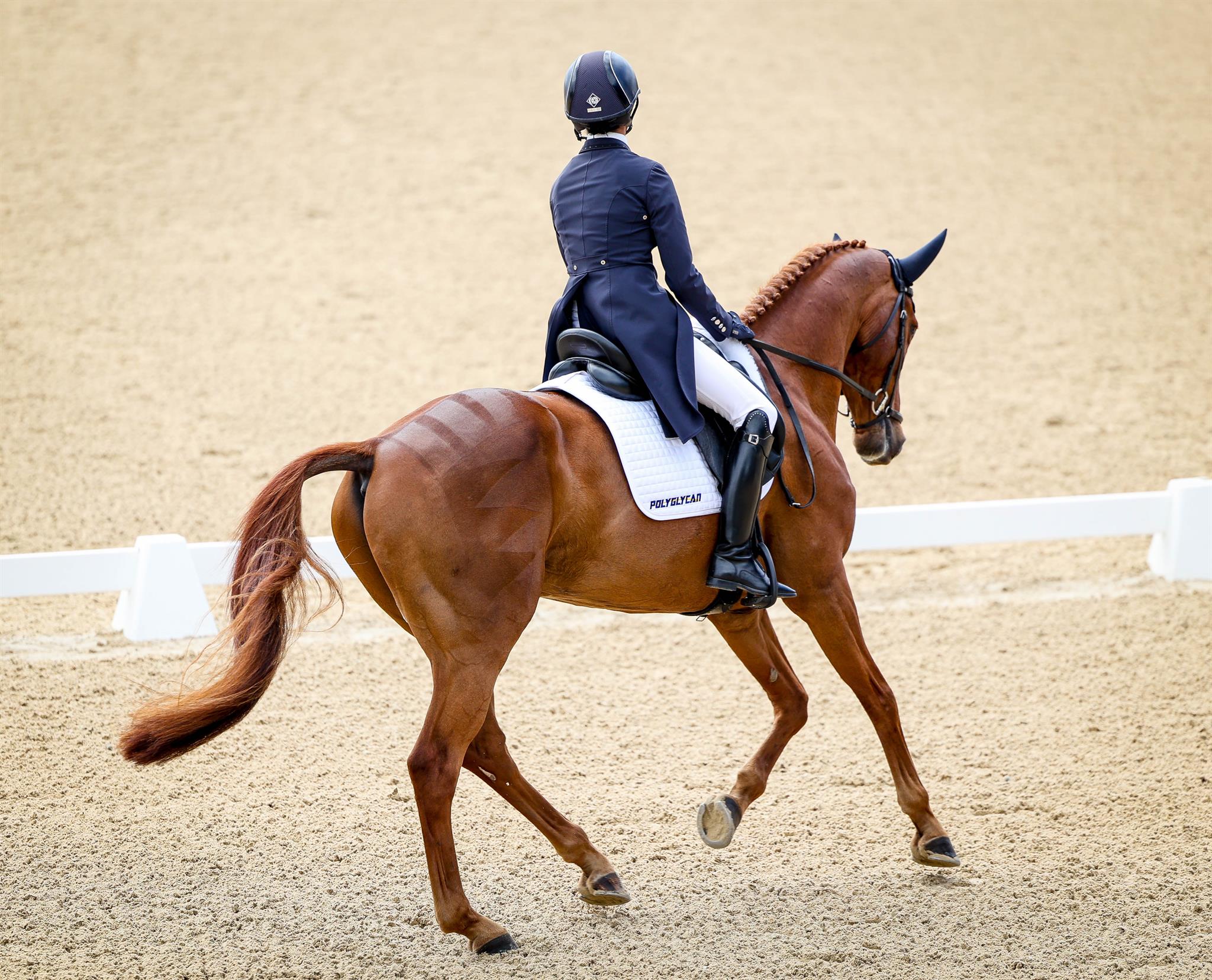 Photo showcasing the Defender  Kentucky Three Day Event presented by MARS Equestrian™